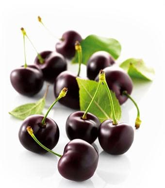 Prunus Padus Extract -Bird cherry anthocyanin